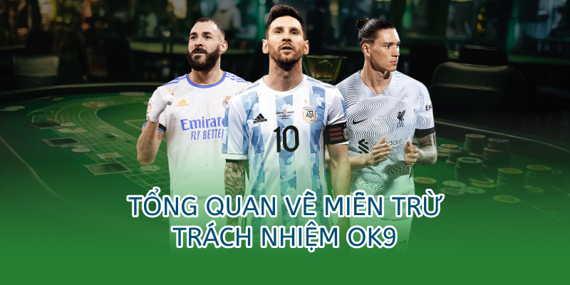 Tổng quan về miễn trừ trách nhiệm ok9